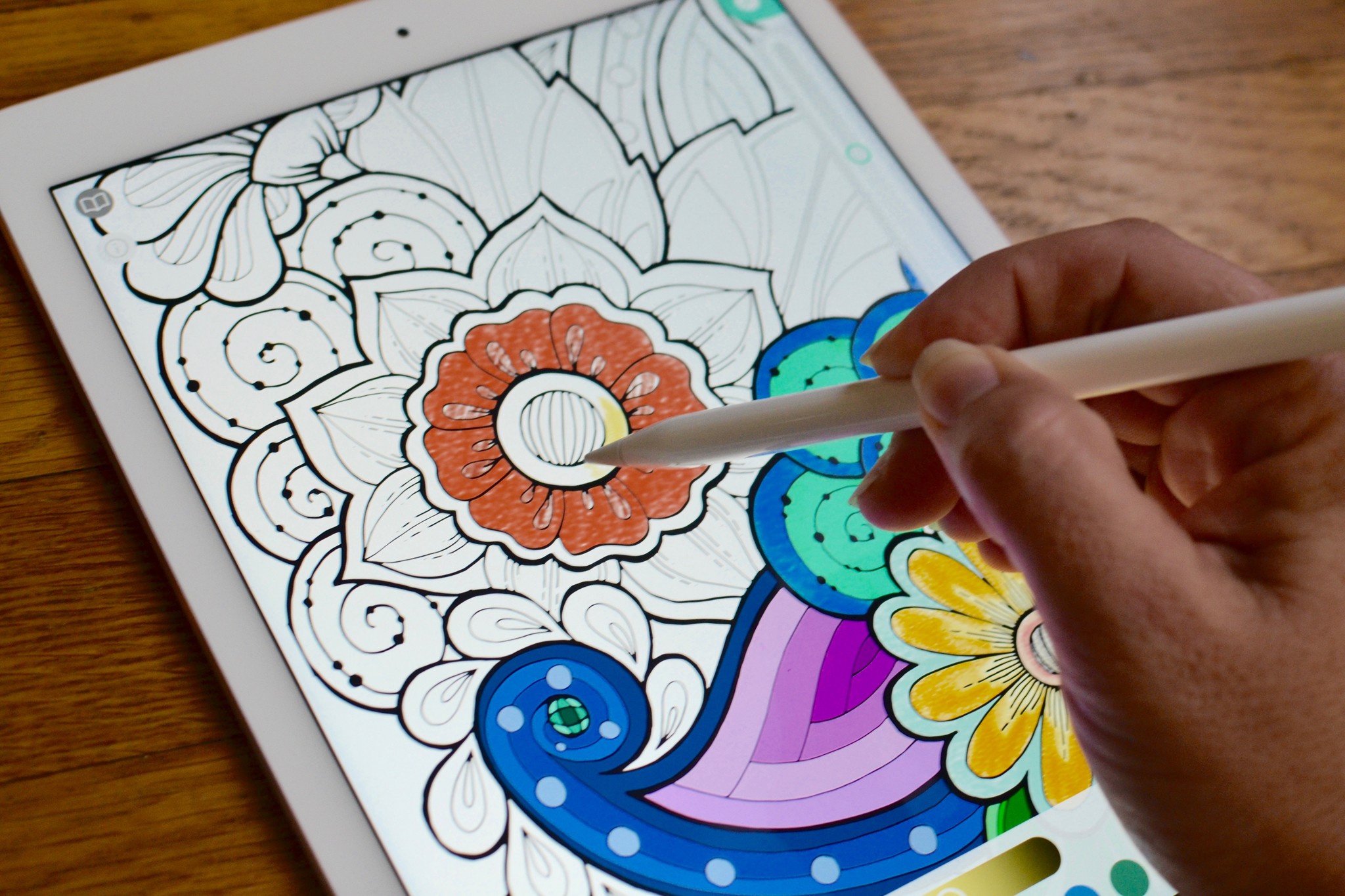 Fun & Cute Animals Coloring Book